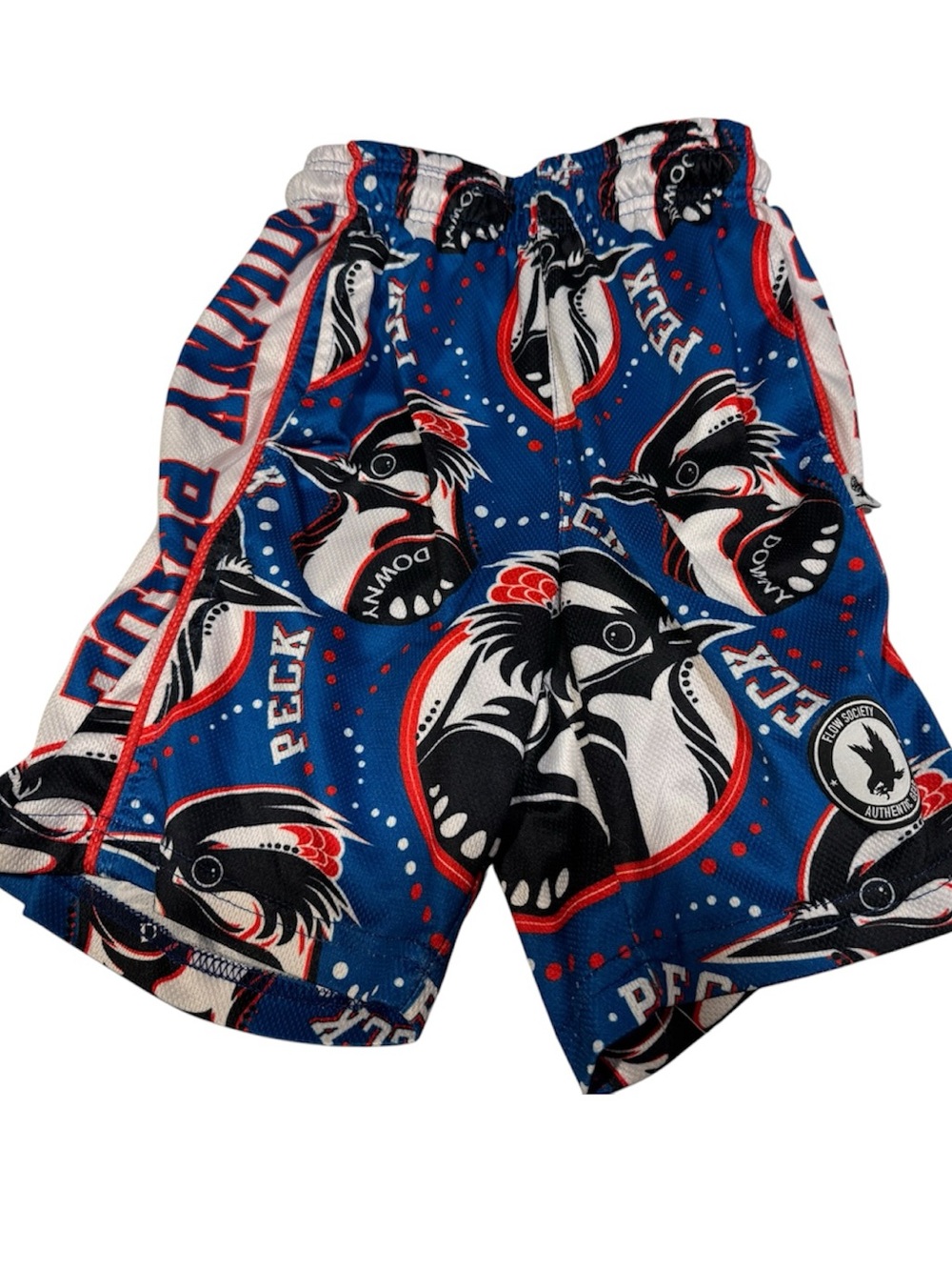 Flow Society Blue Kids Graphic Athletic Shorts with Woodpecker Print